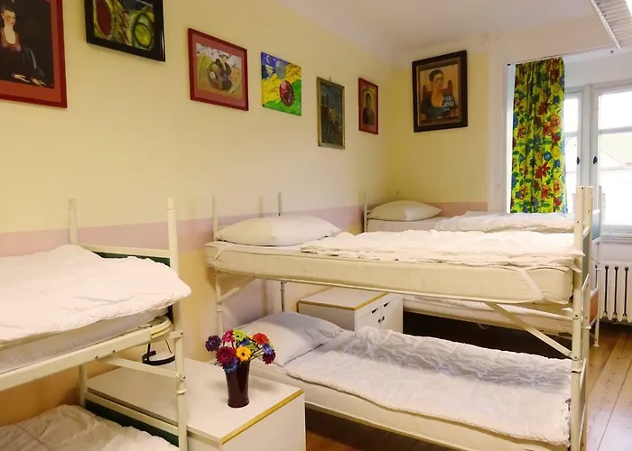 Vandrarhem Hummel - Historische Stadtvilla Mit Garten *